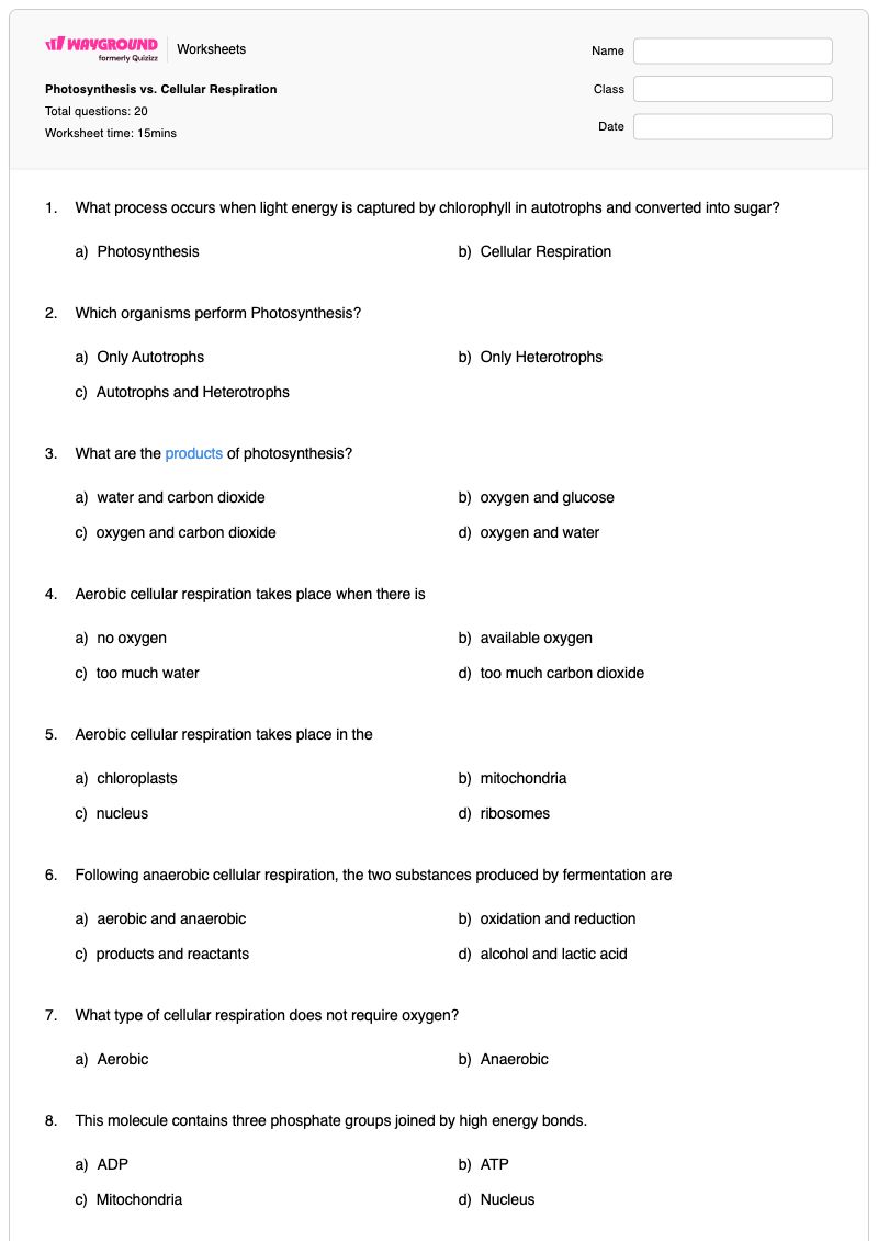 Photosynthesis vs. Cellular Respiration - พิมพ์ได้ การสังเคราะห์แสงและการหายใจระดับเซลล์ เวิร์กชีท - Wayground