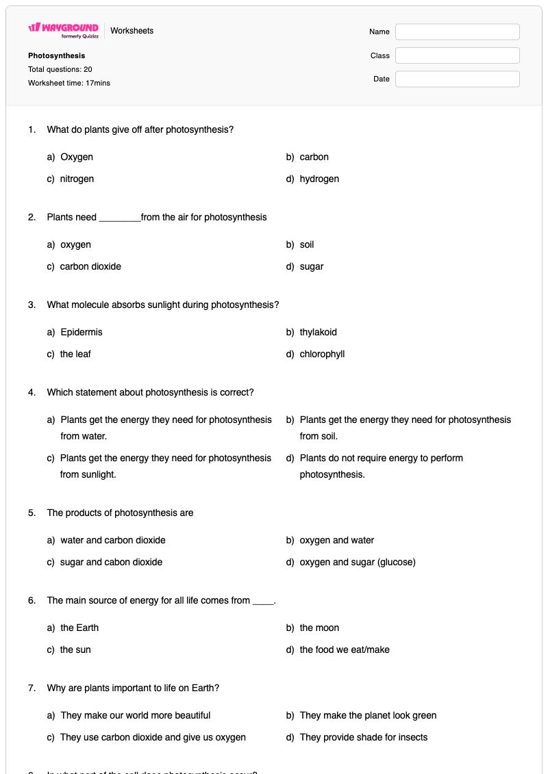 Photosynthesis - พิมพ์ได้ การสังเคราะห์แสงและการหายใจระดับเซลล์ เวิร์กชีท - Wayground