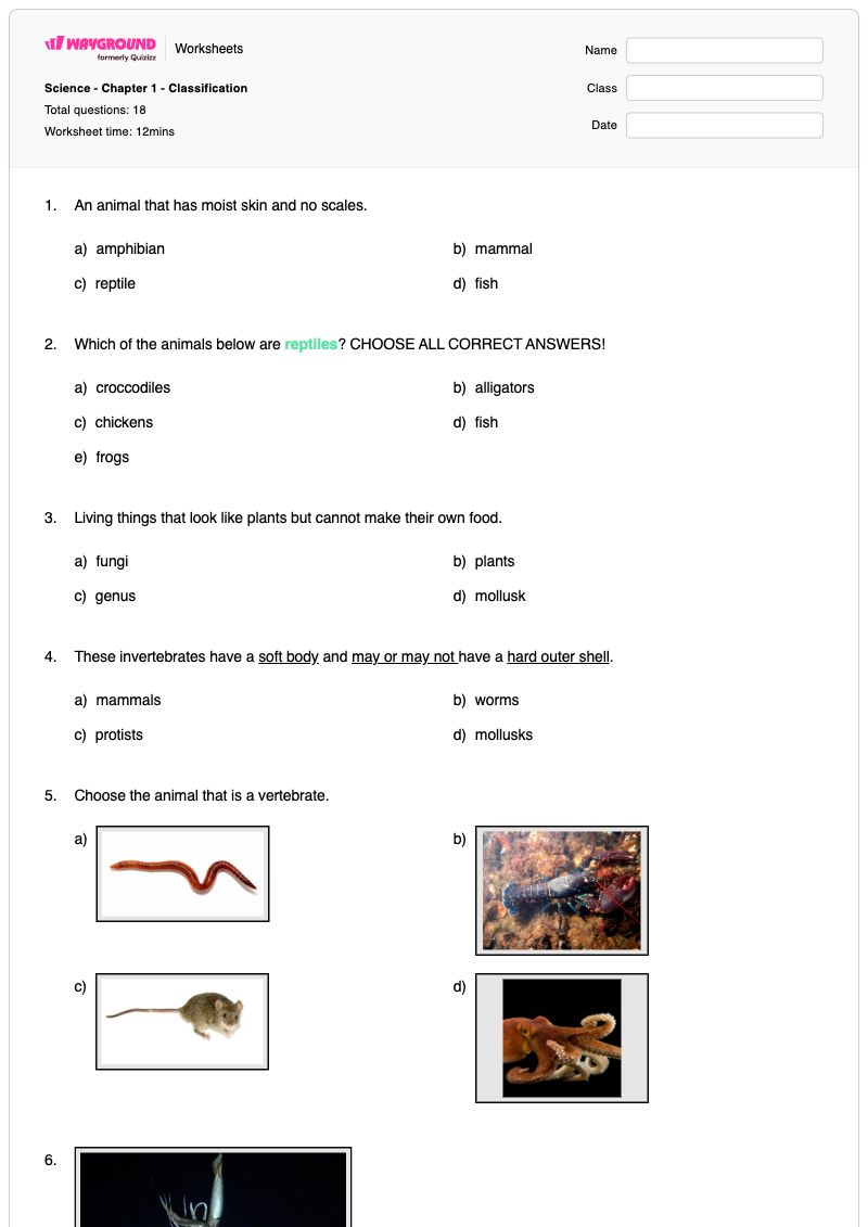 Science - Chapter 1 - Classification - พิมพ์ได้ การจำแนกทางชีววิทยา เวิร์กชีท ระดับ 5 - Wayground
