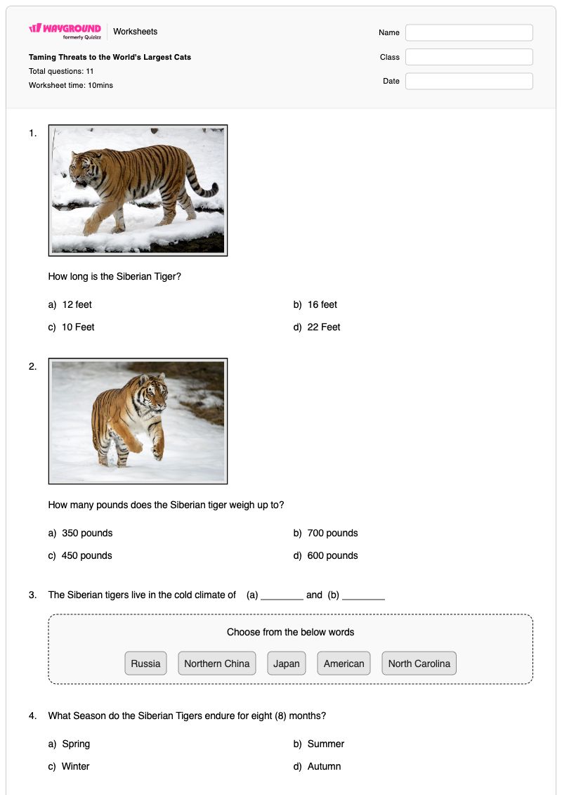 Taming Threats to the World's Largest Cats - พิมพ์ได้ Naming-conventions เวิร์กชีท ระดับ 4 - Wayground