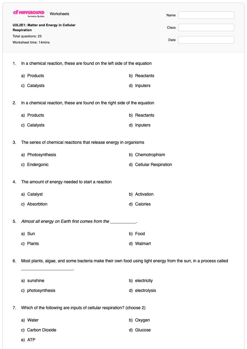 U2L2E1: Matter and Energy in Cellular Respiration - พิมพ์ได้ การสังเคราะห์แสงและการหายใจระดับเซลล์ เวิร์กชีท - Wayground