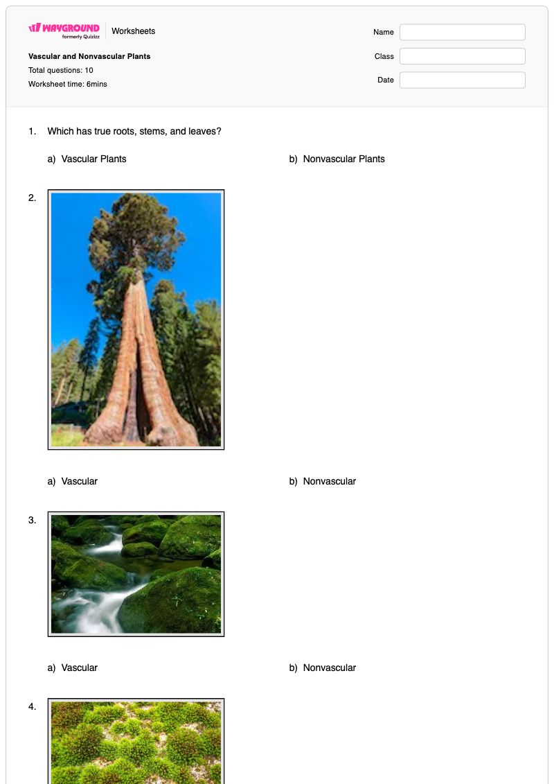 Vascular and Nonvascular Plants - พิมพ์ได้ Monocots-and-dicots เวิร์กชีท ระดับ 5 - Wayground